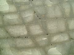 DSCF9048.JPG
