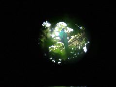 DSCF8635.JPG