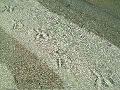 DSCF9054.JPG