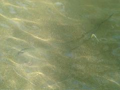 DSCF9055.JPG