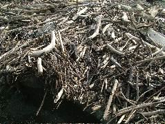 DSCF9058.JPG
