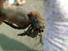 DSCF9061.JPG