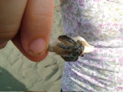 DSCF9062.JPG