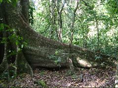 DSCF9065.JPG