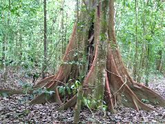 DSCF9067.JPG