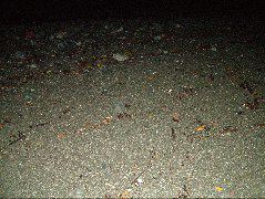 DSCF9072.JPG