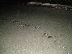 DSCF9073.JPG