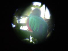 DSCF8637.JPG