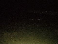 DSCF9074.JPG