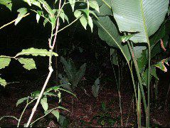 DSCF9078.JPG