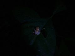 DSCF9079.JPG