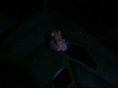 DSCF9080.JPG