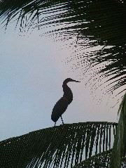 DSCF9085.JPG
