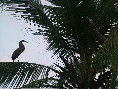 DSCF9086.JPG