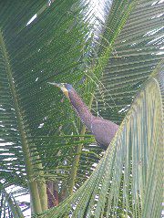 DSCF9087.JPG