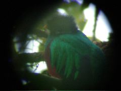 DSCF8638.JPG