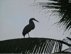 DSCF9088.JPG