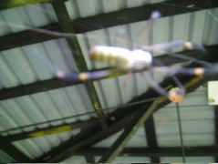 DSCF9090.JPG