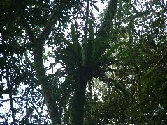 DSCF9092.JPG