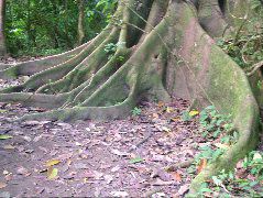 DSCF9093.JPG