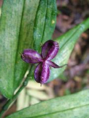 DSCF9094.JPG