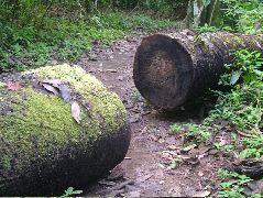 DSCF9095.JPG