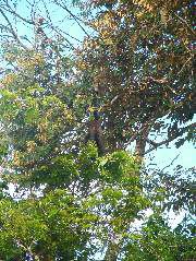 DSCF9096.JPG