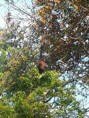 DSCF9097.JPG