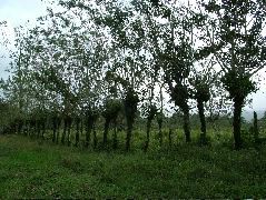 DSCF8594.JPG