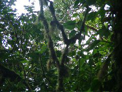 DSCF8639.JPG