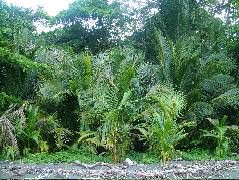 DSCF9101.JPG