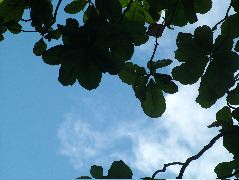 DSCF9102.JPG