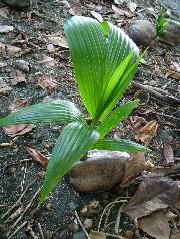 DSCF9103.JPG