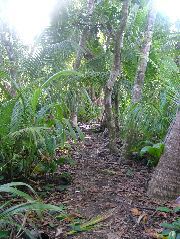 DSCF9104.JPG