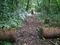 DSCF9107.JPG