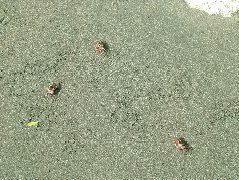 DSCF9109.JPG