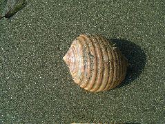 DSCF9110.JPG