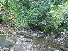 DSCF9112.JPG