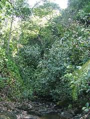 DSCF9113.JPG