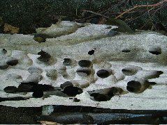 DSCF9114.JPG