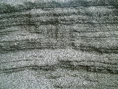 DSCF9115.JPG