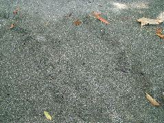 DSCF9116.JPG