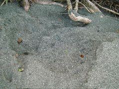 DSCF9117.JPG