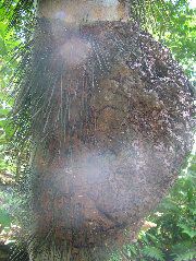 DSCF9119.JPG