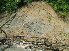 DSCF9120.JPG