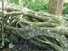 DSCF9122.JPG