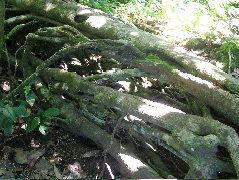 DSCF9123.JPG