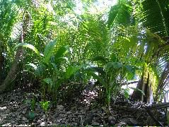 DSCF9124.JPG