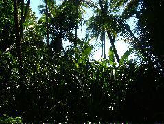 DSCF9125.JPG