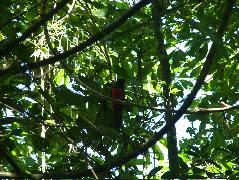 DSCF9126.JPG